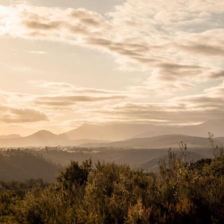 Forest Harmony Knysna Exterior foto