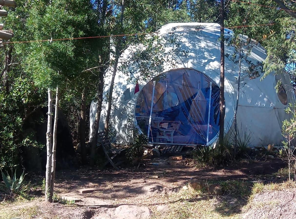 Forest Harmony Knysna Exterior foto