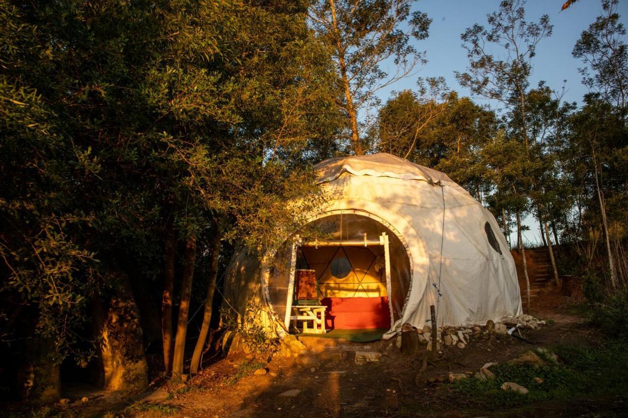 Forest Harmony Knysna Exterior foto