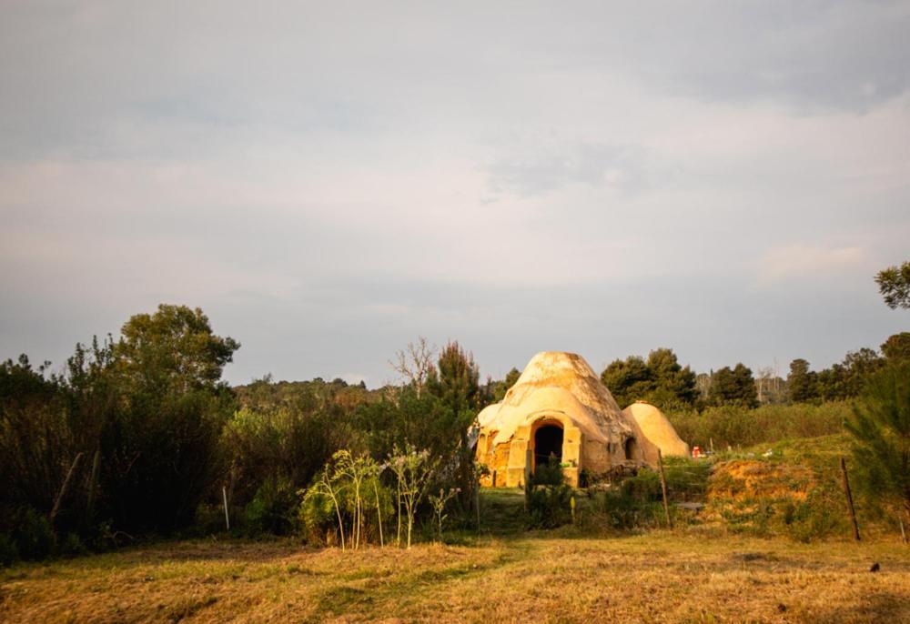 Forest Harmony Knysna Exterior foto